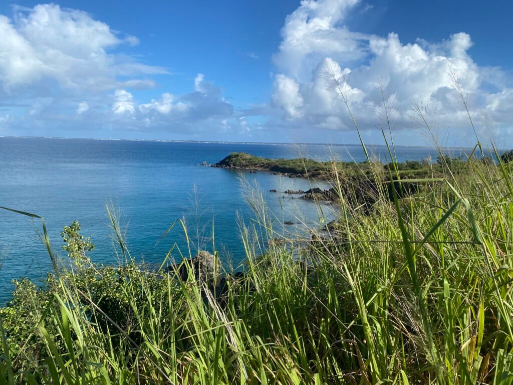 anse Guichard